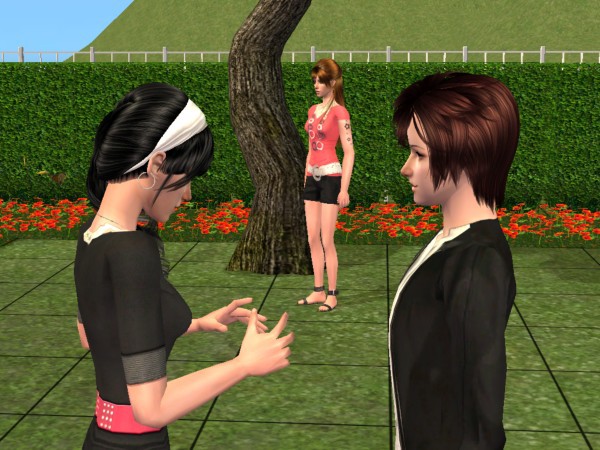 snapshot_7c503612_7c524e7e.jpg